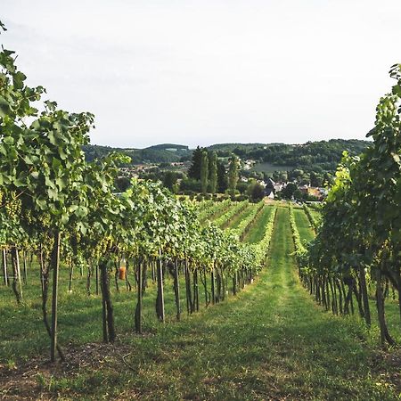 Hartmannsdorf Wein & Gaestehof Erlacher المظهر الخارجي الصورة